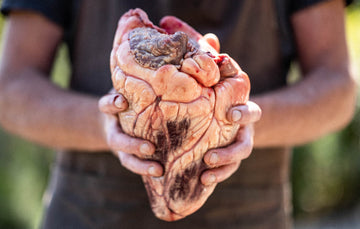 Grass Fed Beef Ox Heart