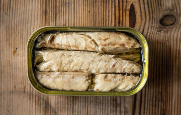 Tinned sustainable British, Brixham Bay Mackerel in olive oil from Rockfish