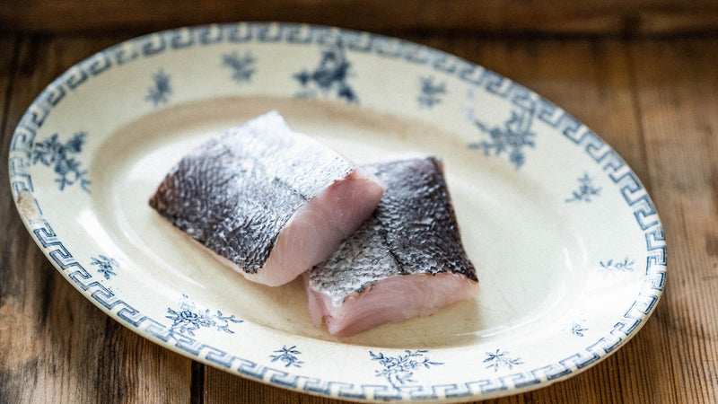 British MSC Certified Hake Fish Fillets. Recommended by the Cornwall Good Seafood Guide.