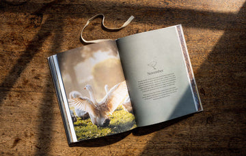 An open copy of the PIpers Farm cookbook