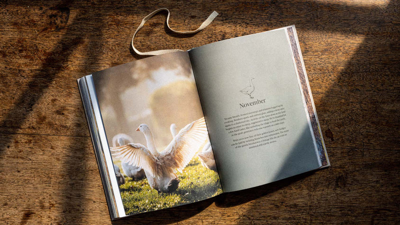 Open copy of The Sustainable Meat Cookbook