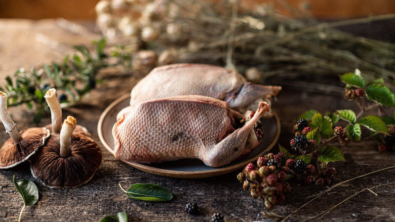 Whole wild mallard duck, sustainable British game