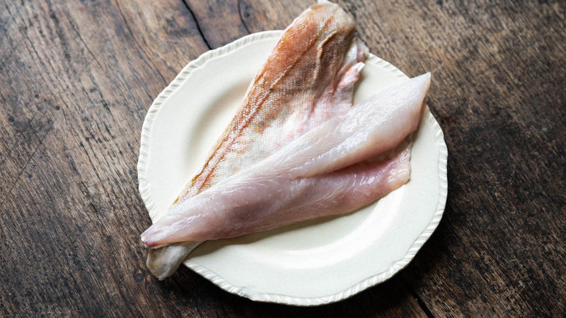 British Gurnard Fillet