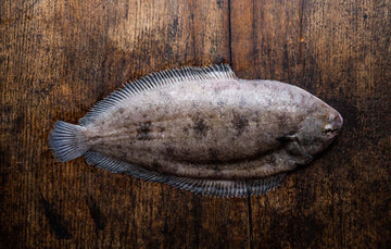 British Dover Sole