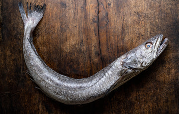 British MSC Certified Hake Fish. Recommended by the Cornwall Good Seafood Guide.