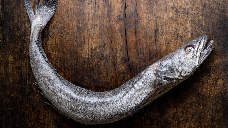 British MSC Certified Hake Fish. Recommended by the Cornwall Good Seafood Guide.