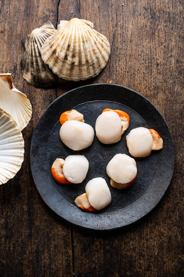 British Hand Dived Scallops