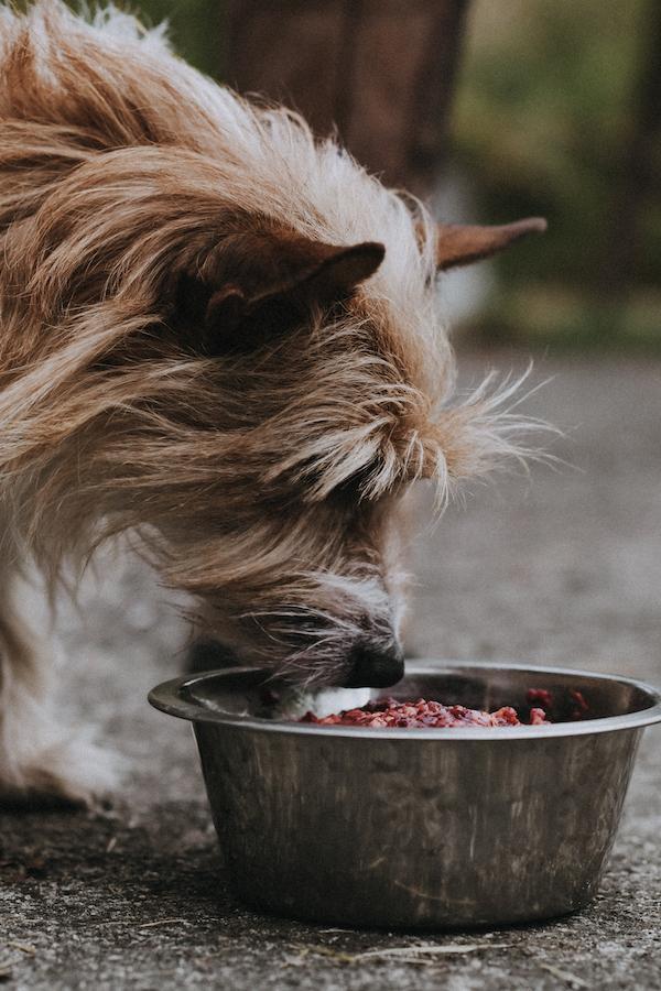 Farmers Raw Venison Food